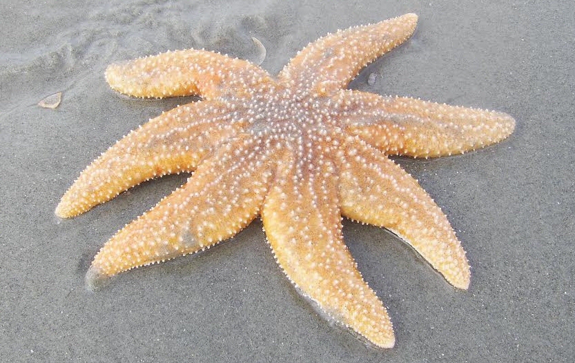 &copy; Wikje Moorlag